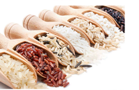 Cuillère courte en bois de bambou, 5 pièces, mini bols plats en bois de mesure de la cuisine pour les salches de bain, vente en gros