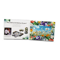 Brochure Video LCD