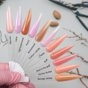 Professionale estensione delle unghie in polvere acrilica all'ingrosso colori Nude polvere di cristallo per la progettazione - Product Image 2