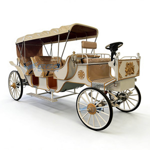 Voiture électrique de luxe européenne confortable, nouvelle voiture électrique de style européen, voiture de tourisme, transport spécial - Product Image 2