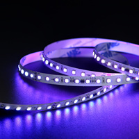 Bande LED RVB adressable SMD5050 WS2811 24V IP67 Ruban flexible étanche avec SM16703 TM1903 IC USB ROHS 5m