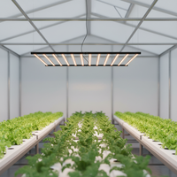 Lampes de culture LED Mint White LM301H Evo 1000W avec PPFD uniforme - Options 720W 600W 240W pour la croissance des plantes