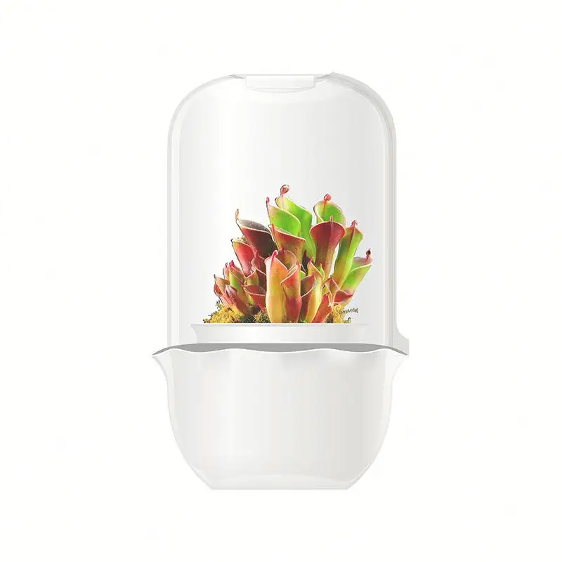 Mini pot hydroponique d'intérieur pour jardin, pot intelligent pour plantes naturelles, kit d'herbes succulentes fabriqué en chine, diy, 6 pièces