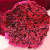 Premium Gedroogde Drakenvrucht 500g |   100% natuurlijke rode pitaya chips, zonder toegevoegde suiker, gezonde veganistische snack voor kinderen & volwassenen