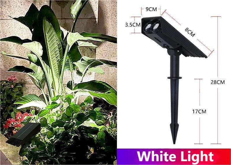 White Light