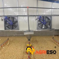 Système d'alimentation automatique en ligne pour volailles d'élevage commercial de poulets pondeurs