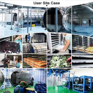 Máquina Liofilizadora Comercial de Alta Resistencia para Frutas y Verduras, Acero Inoxidable 304, Capacidad de 500-1000 kg/h, Garantía de 4 Años, en Oferta - Product Image 3