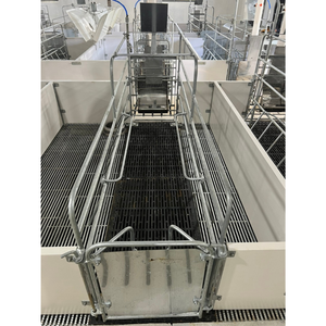 Caisse de mise bas de porc bon choix 2400X1800Mm équipement agricole d'élevage couleur personnalisée fabricant du Vietnam - Product Image 1