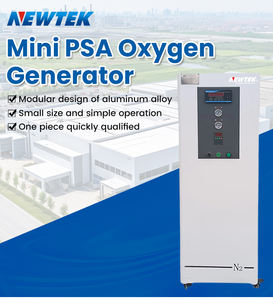 NEWTEK çin orijinal fabrika kaynağı en iyi fiyat 93% PSA oksijen bitki oksijen jeneratörü tıbbi küçük hastane kullanımı için - Product Image 3