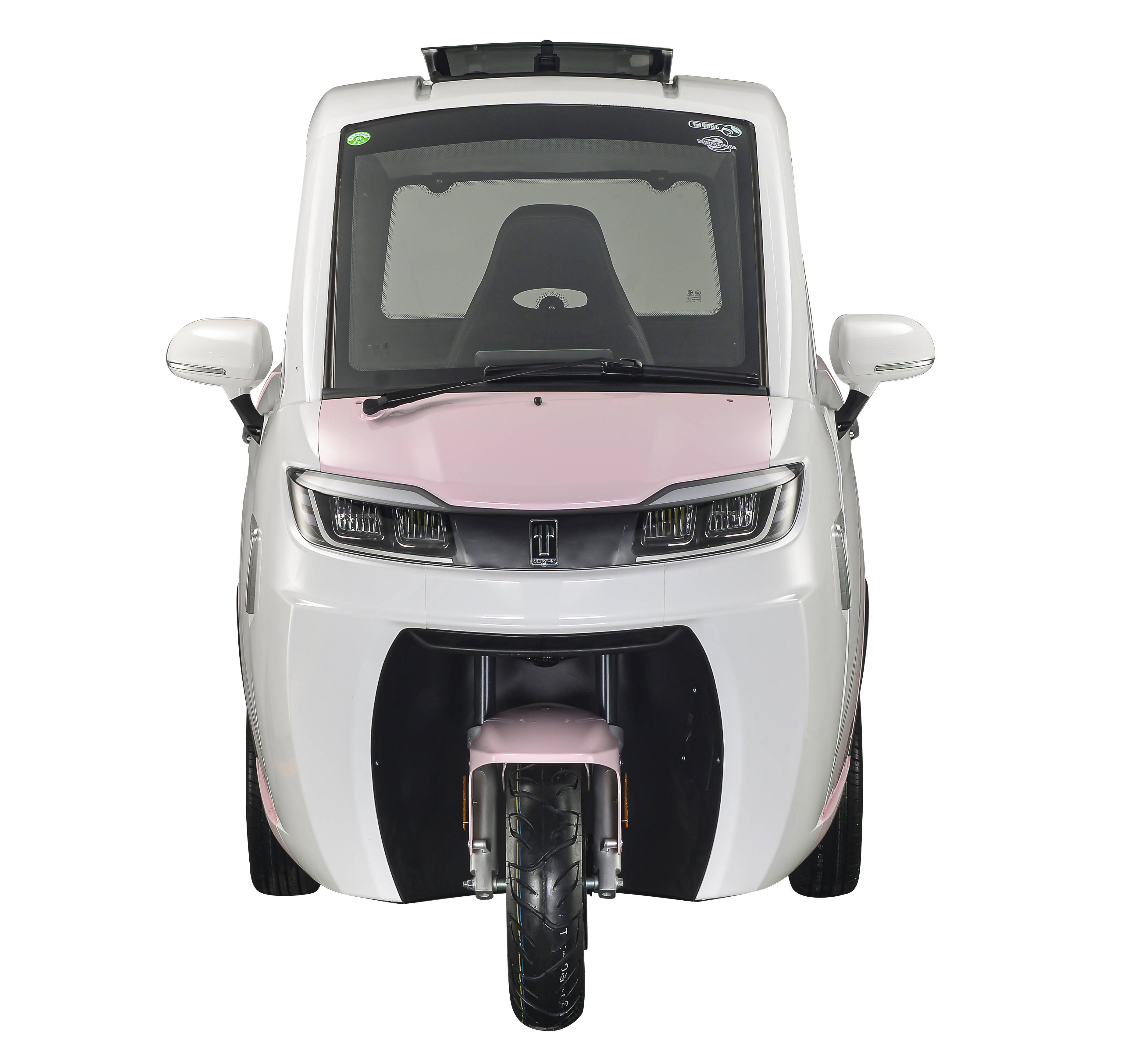 3 Wheel Cargo Electric EEC