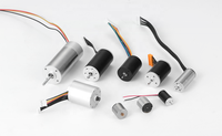 Motor de CC sin Núcleo de 12mm 16mm 17mm 22mm 24V 32300RPM, Imán Permanente 1215 Micro Sin Ranuras para Robótica