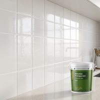 Agent imperméabilisant transparent acrylique W-05 certifié CE, résistant aux intempéries, peinture anti-fuite, revêtement imperméable pour balcon et terrasse