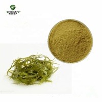 Extracto de Algas Wakame en Polvo 85% Fucoidan Laminaria Japonica para el Apoyo Inmunológico