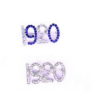 Metal Bling Strass Mulheres Grupo Sorority Desde 1920 Pin ZPB Membro Broche Jóias Personalizadas - Product Image 6