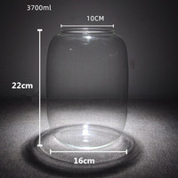 Vente en gros de terrariums de plantes à air vides en verre transparent de qualité supérieure grand bol à bonbons écologique vase de plantes en verre de cactus succulent