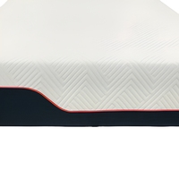 Großhandel Orthopädische Komfortable King-Size Vakuumkomprimierte Roll-Pack Memory-Schaum-Matratze mit Eigenem Logo für Heim- und Hotelgebrauch