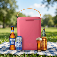 Glacière rigide isotherme 10L en PP avec logo personnalisé, moderne, avec poignée, ODM/OEM, pour le stockage du vin, nouvelle glacière tendance