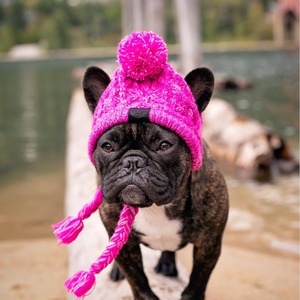 Gorro para Bulldog Francés con Diseño de Pompón, Cálido para Invierno, Color Sólido - Product Image 4