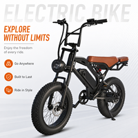 Vélo électrique étanche, vélo électrique à pneus larges de 20 pouces, frein à disque, vélo tout-terrain pour les États-Unis et l'Europe