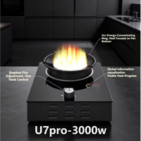 Nouveau modèle 2026, produit phare : Allume-feu plasma en verre trempé pour cuisinière, pour usage extérieur, camping-car, voiture et domestique, sûr et sain