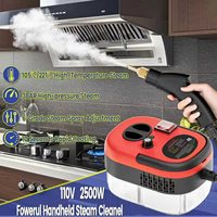 Nettoyeur Vapeur Portable 2500W, Haute Température et Pression pour Détail Automobile
