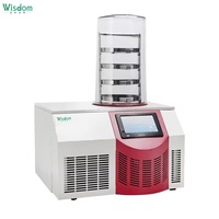 Wijsheid 9l Mini-Tafellab Vacuümvriesdroger-Lyofilisateur/Gefriertrockner Voor Voedsel/Fruit/Groenten
