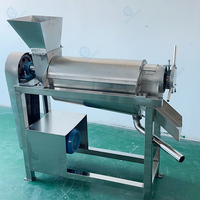 Industriële volautomatische slowjuicer met hoge sapopbrengst, geschikt voor citrusvruchten en sinaasappels.