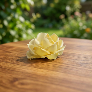 Handcrafted White Sola Wood Flowers Environmental Friendly Artificial Decor Single Stem Design Thailand <b>Reed</b> <b>Diffuser</b> Weddings - Product Image 2