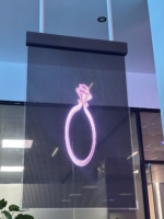 Écran LED transparent flexible couleur pleine P3.91mm pour intérieur avec prise en charge HDR 2500cd/m2 pour la publicité vidéo