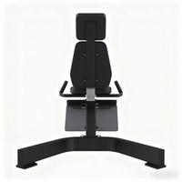 Banc d'entraînement de fitness commercial de haute qualité série de chaises chaises romaines en métal équipement de gymnastique essentiel directement fourni par l'usine