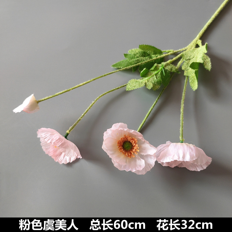 Coquelicot