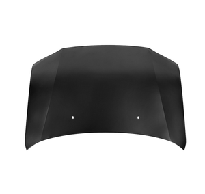 جودة عالية وسعر منخفض غطاء محرك السيارة لتويوتا بروبوكس - Product Image 1