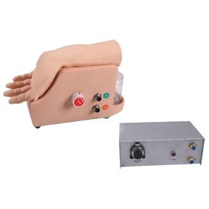 Modelo de Entrenamiento para Análisis de Gases en Sangre Arterial, Modelo de Dispositivo Electrónico de Circulación Sanguínea en Brazo - Product Image 1