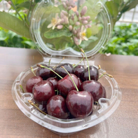 Conteneurs en plastique transparent anti-buée pour cerises, fraises, tomates, avec trous d'aération pour l'emballage des fruits