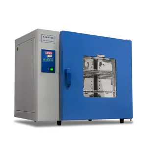 Dry Oven Laboratory Equipment High Temperature Industrial Drying Oven Electric Hot Air Drying Oven