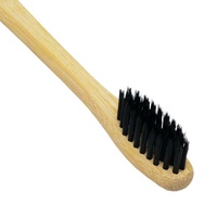 Brosse à dents ECO pour adultes avec manche, poils en nylon doux, utilisation manuelle à domicile, sans BPA