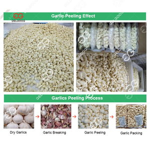 เครื่องลอกผิวกระเทียมแห้ง - Product Image 4