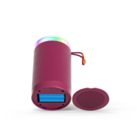 Altavoz Portátil Bluetooth 5.3 con Batería Extraíble, Altavoz Inalámbrico con Luz LED RGB, Tarjeta TF, Subwoofer Estéreo con Bajos
