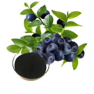 Europeo Mirtillo/sambuco/gelso frutta/ribes nero/estratto di estratto di mirtillo 25% antociani