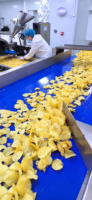 Machine à fabriquer des chips de pommes de terre entièrement automatique 200 kg/h avec options multi-tension et chauffage, haute productivité