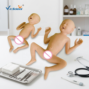 Maniquí de PVC de Bebé <span class=keywords><strong>Prematuro</strong></span> de 30 Semanas, Modelo Realista para Entrenamiento de Enfermería, Ciencias Médicas - Product Image 2