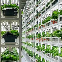 Usine de culture hydroponique verticale automatisée clé en main, serre mobile, culture personnalisée de légumes et de fraises