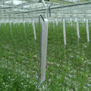 Greenhouse Galvanized Steel Tomato Hook with 13m PP Twine