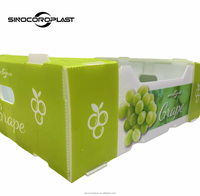 Boîte d'emballage pliable en polypropylène ondulé imperméable pour fruits et légumes, pour l'agriculture
