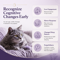 Compléments alimentaires pour chats seniors en vrac : Friandises molles au champignon Crinière de lion pour la fonction cognitive et la santé cardiaque et visuelle