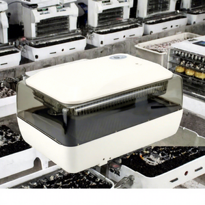 Incubateur automatique pour œufs de poulet, canard, <span class=keywords><strong>faisan</strong></span>, caille, perroquet, volaille de taille moyenne, taux d'éclosion de 90 %, à vendre - Product Image 4