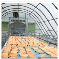 Séchoir solaire pour fruits et légumes, équipement de déshydratation solaire à vendre