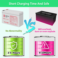 Batteries au gel scellées à décharge profonde Demuda de qualité industrielle 12V 100Ah 200Ah pour appareils électroménagers, stockage d'énergie, micro-réseau solaire
