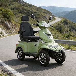 Newly Designed /Electric Tricycle Scooter/ 48V Battery Brushless /Motorcycle Electric /Three-Wheeler Vista Quater-3 - Product Image 4