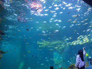 2021新しいデザイン水族館水槽水草造園ボトムフィルターカスタムホーム水槽キャビネットホワイトスペースアクセサリー - Product Image 4